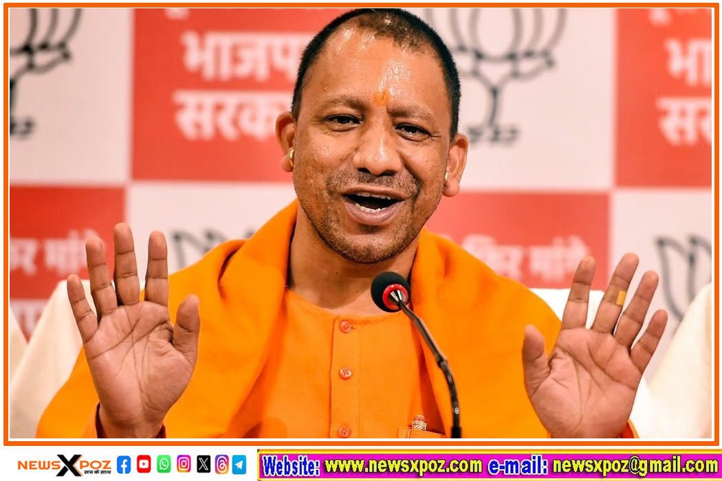 yogi-cm