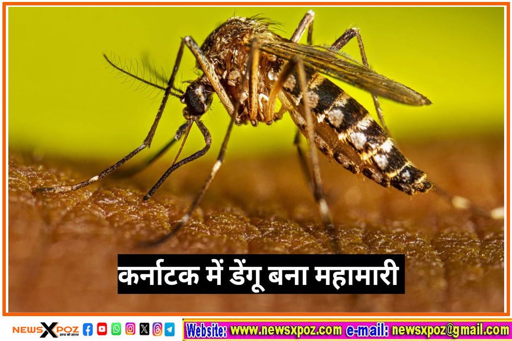 Karnataka-dengue