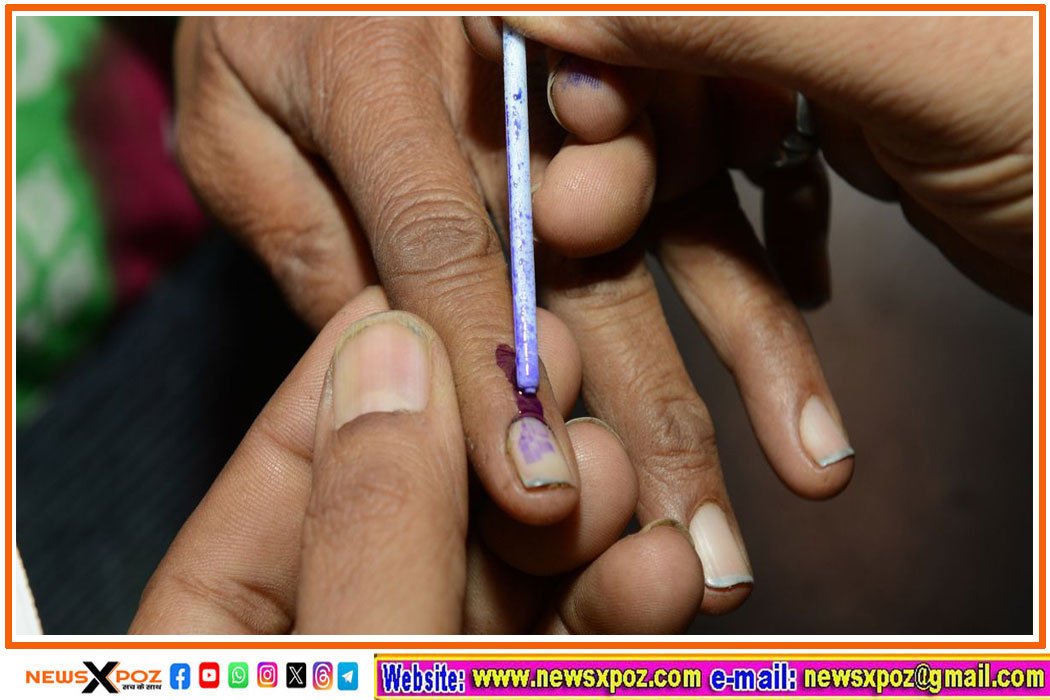 haryana-vidhan-sabha-election-pc-jharkhand