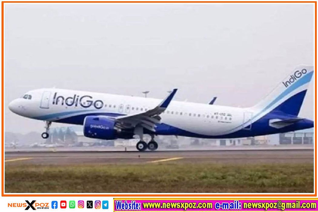 indigo-airlines