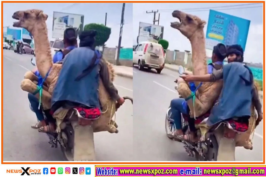 TWO-Boys-Bike-Camel