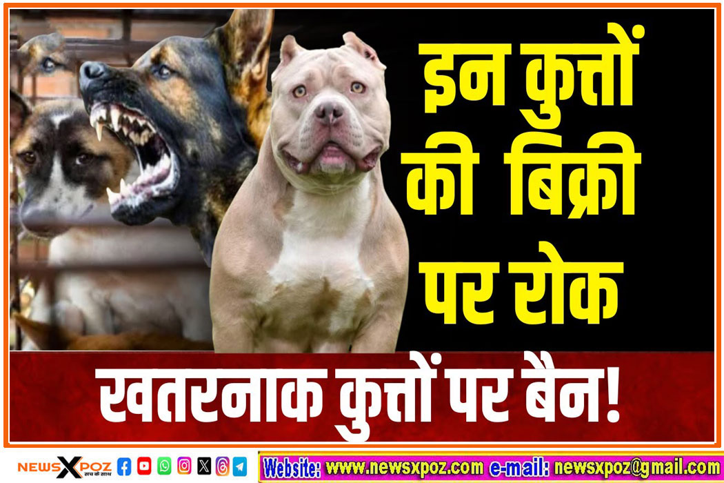Dog-Not-Sell