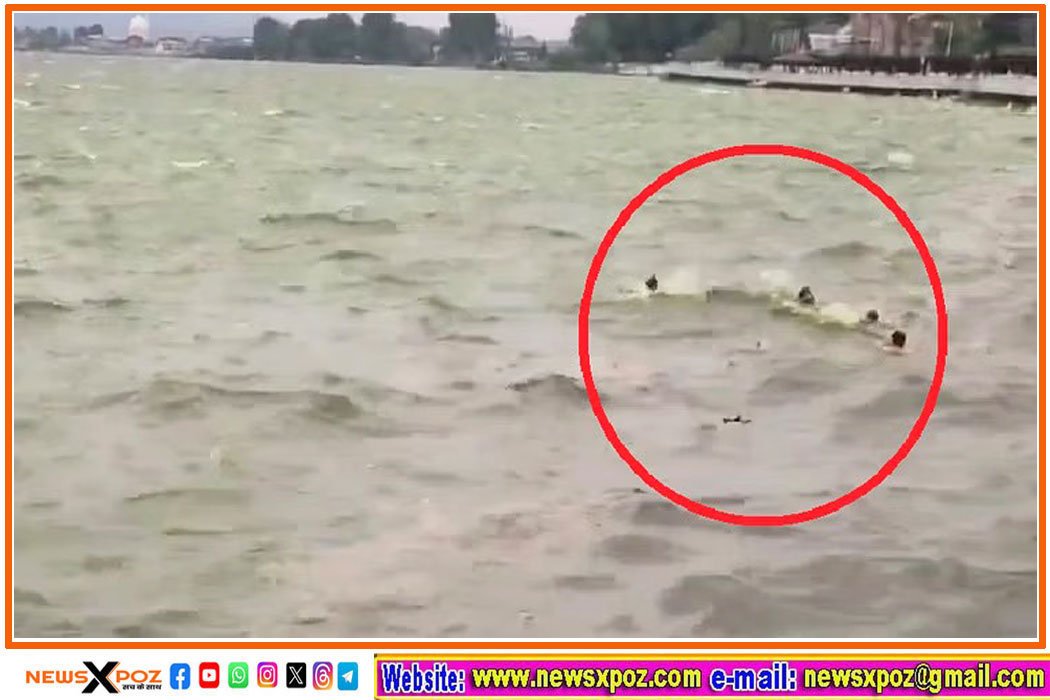 Kashmir-Dall-Jheel-Boat-Hadsa