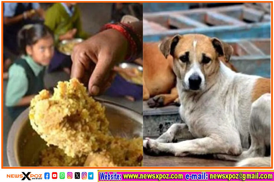 Chattisgarh-Dog