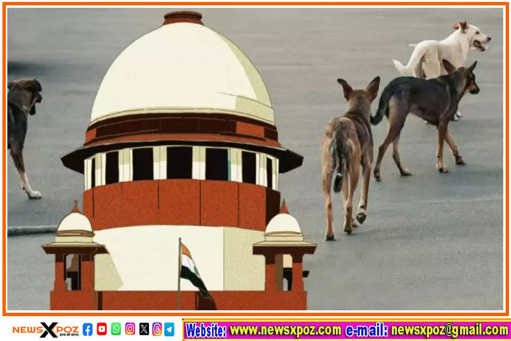 supreme-court-and-stray-dogs