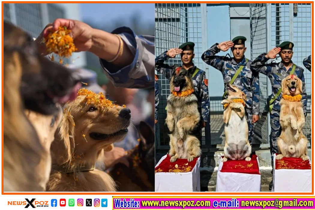 Kukur-Tihar-Festival