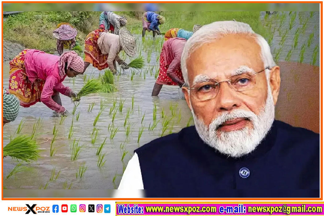 प्रधानमंत्री धन-धान्य योजना-दलहन आत्मनिर्भरता मिशन की शुरुआत आज