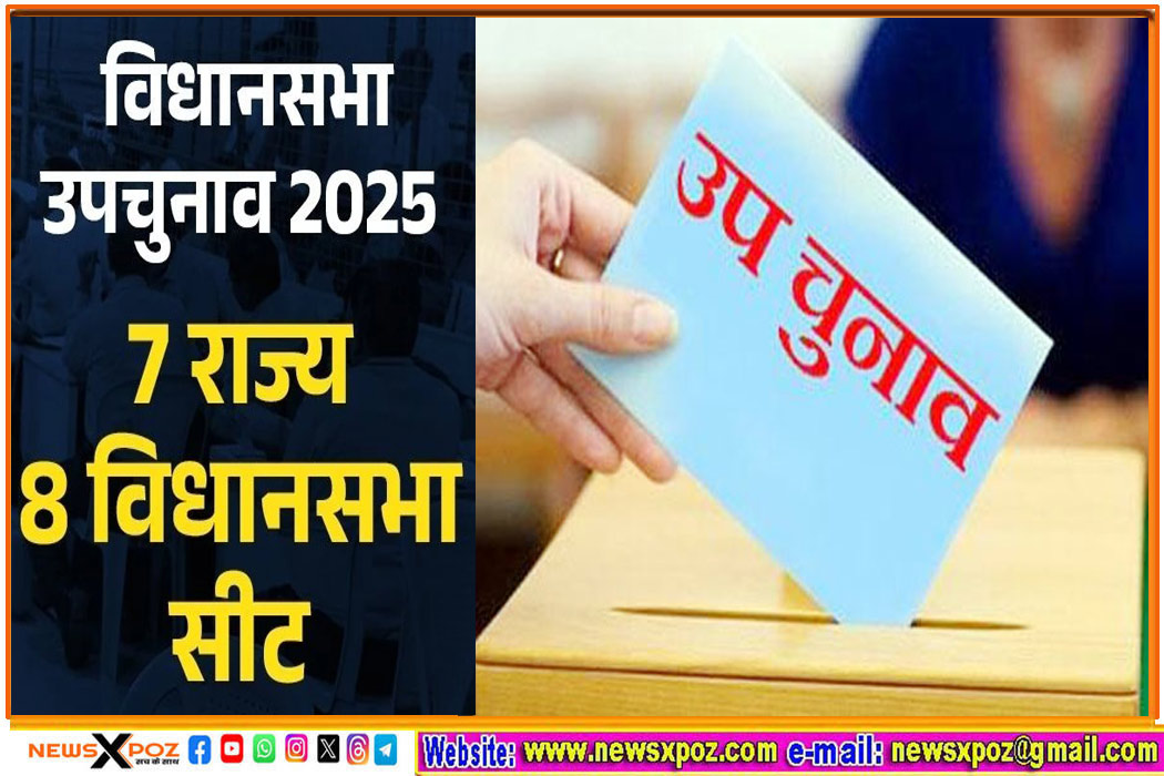 State-7-By-Election-Results