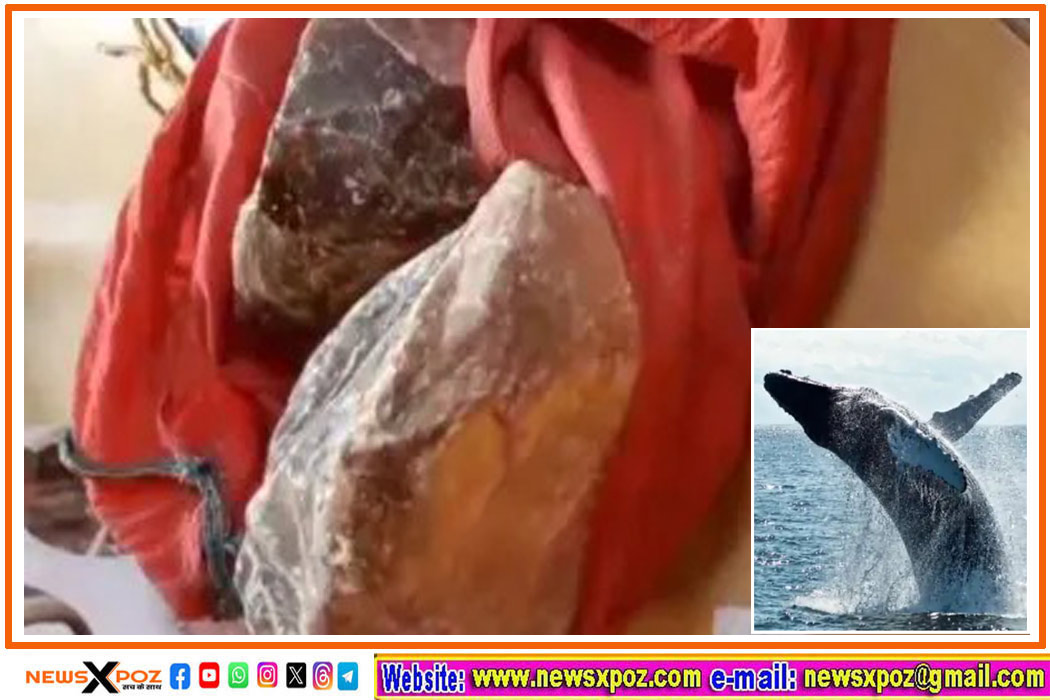 whale-vomit-seller-arrest