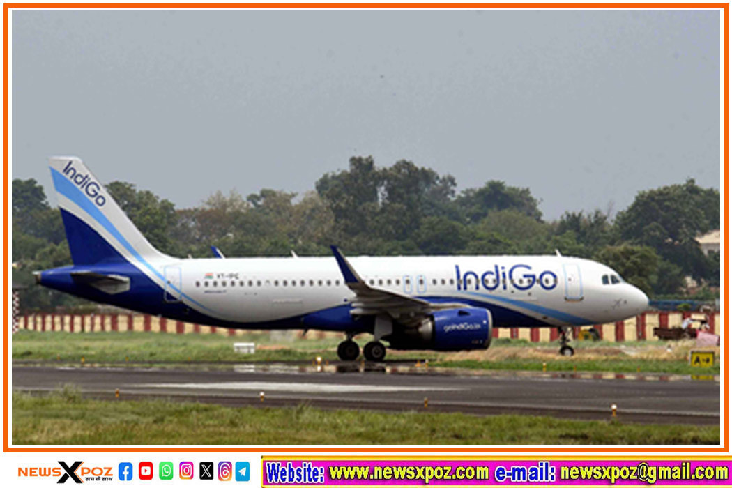 indigo-high-level-enquiry