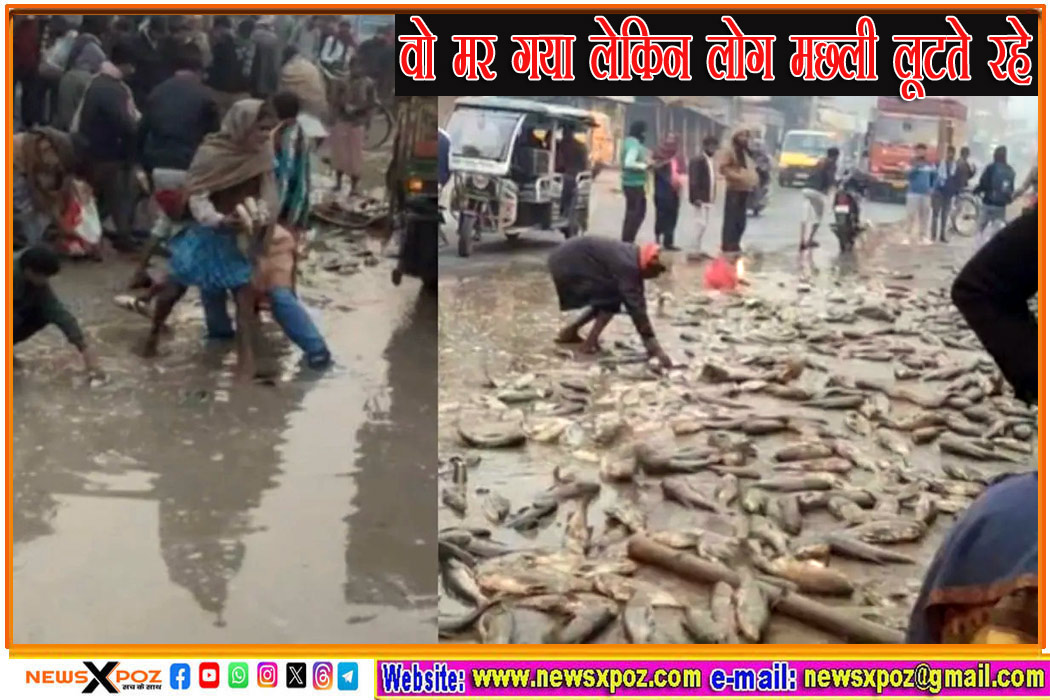 Bihar-Sitamarhi-Fish-Loot