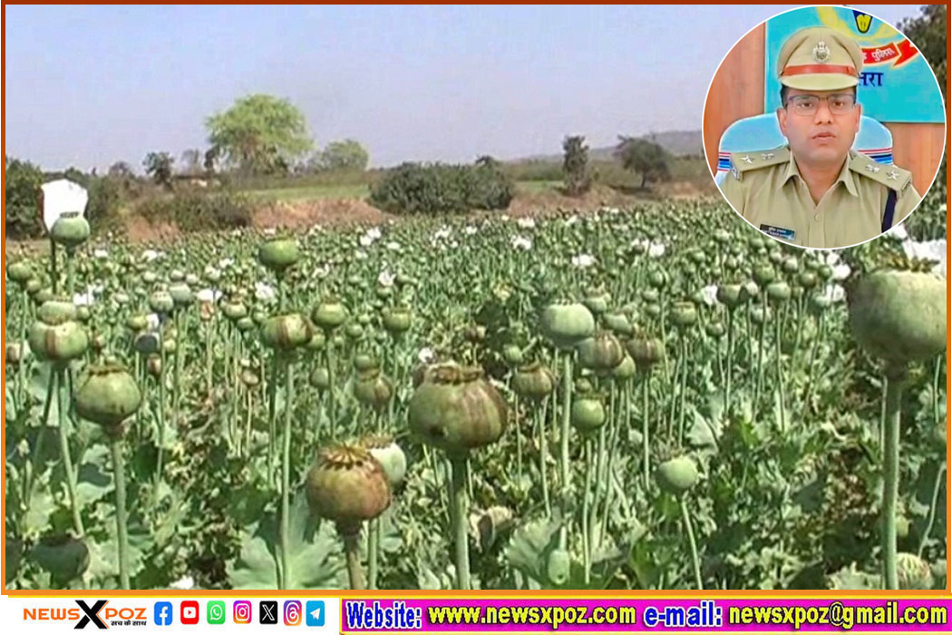 Chatra-Drugs-Police-Action