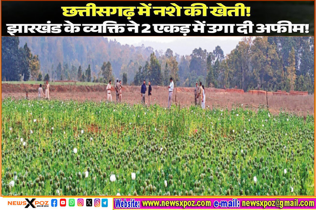 Chhattisgarh-Jharkhand-Farming