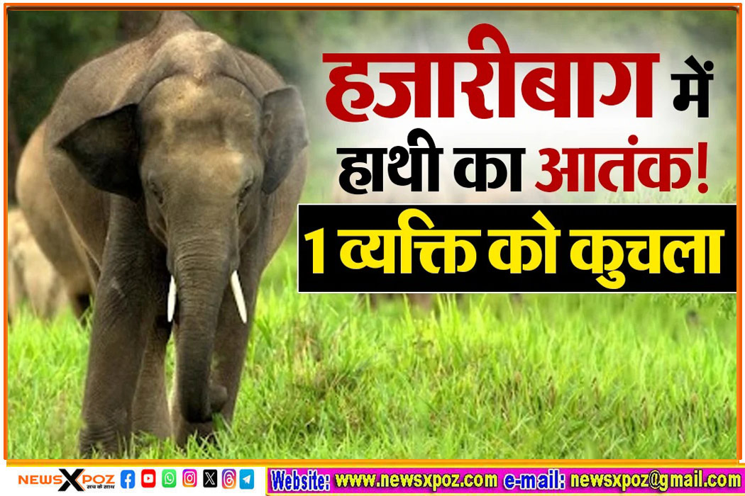 Hazaribag-Elephant-Attack-Death