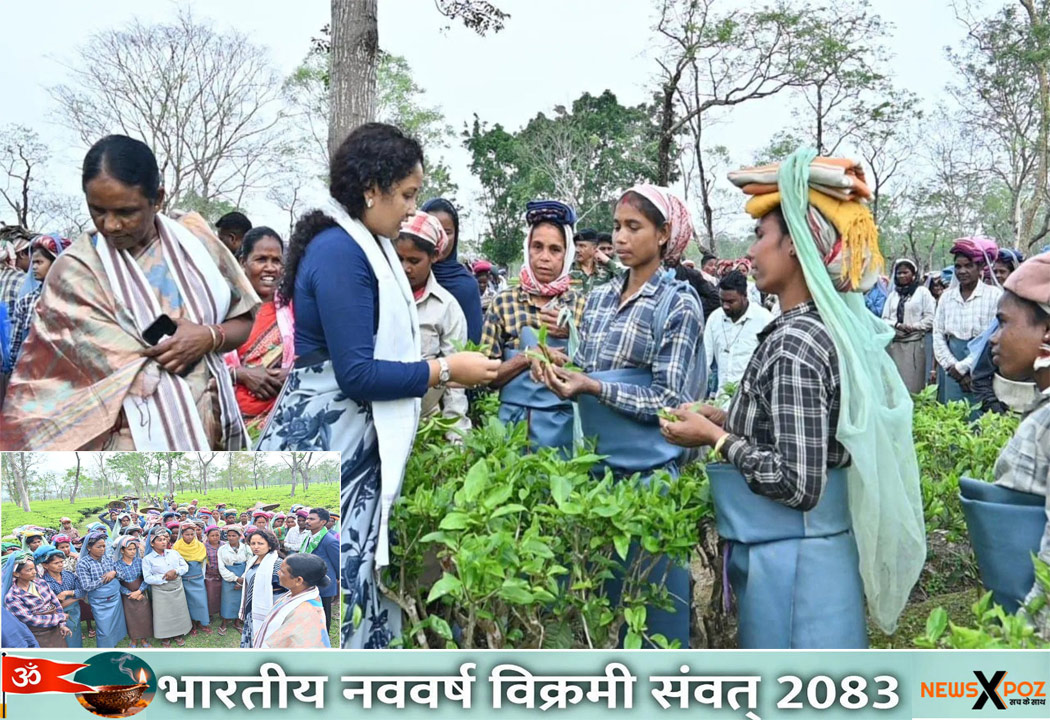 Assam-Tea-Kalpana-Election