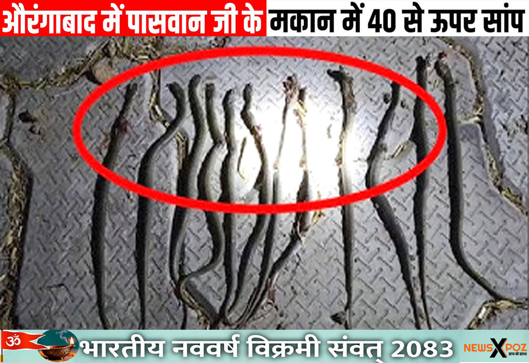 Aurangabad-Snakes-in-Home