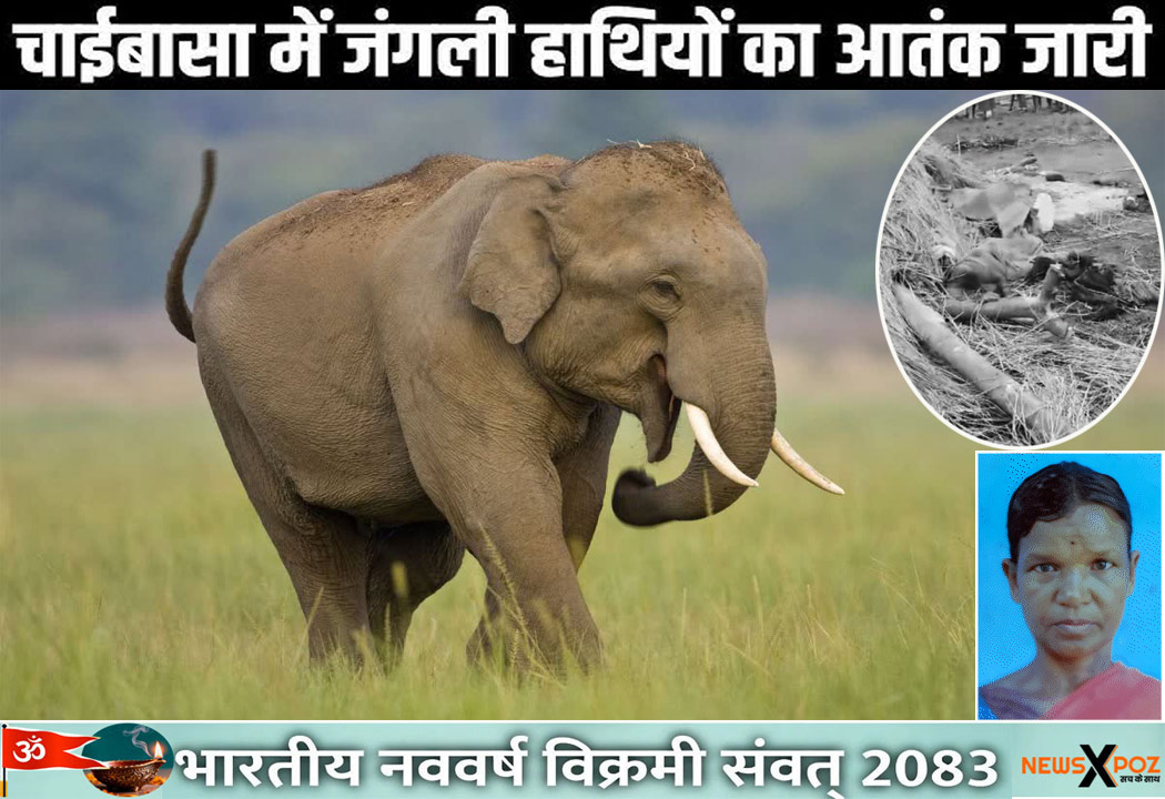 Chaibasa-Elephant-Lady-Death