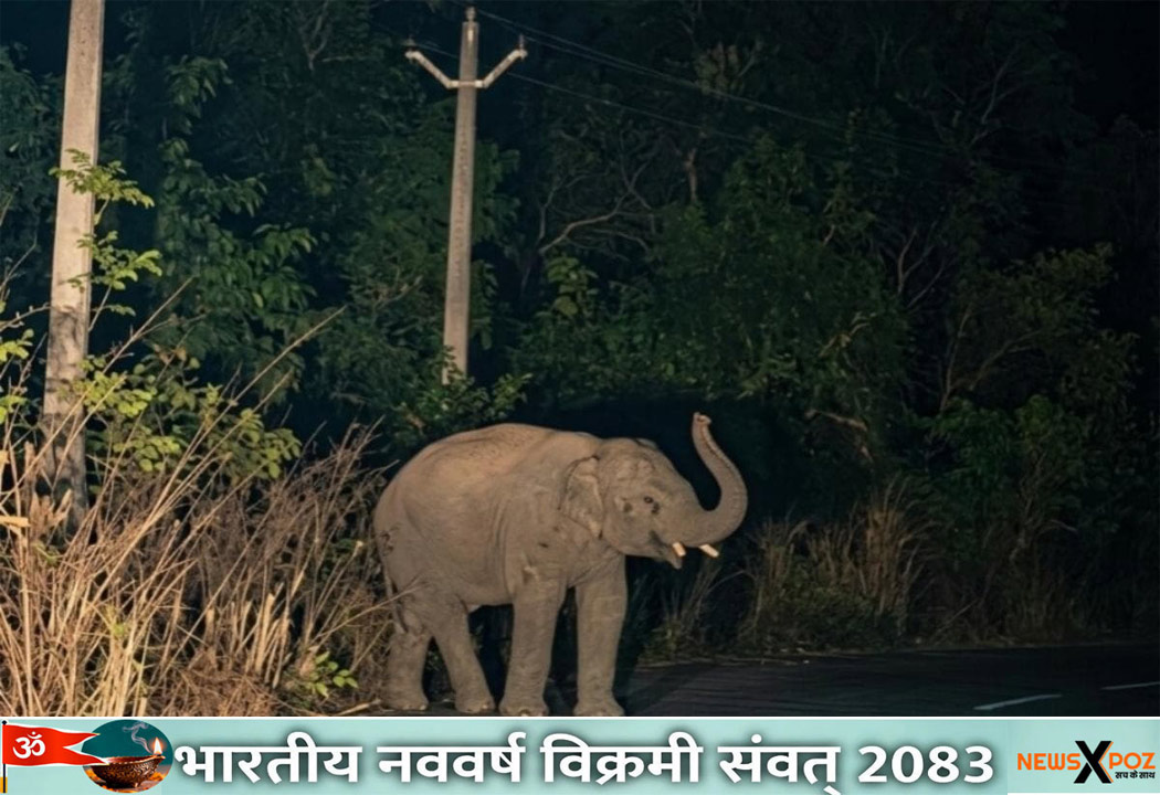 Koderma-Elephant-Death-Person