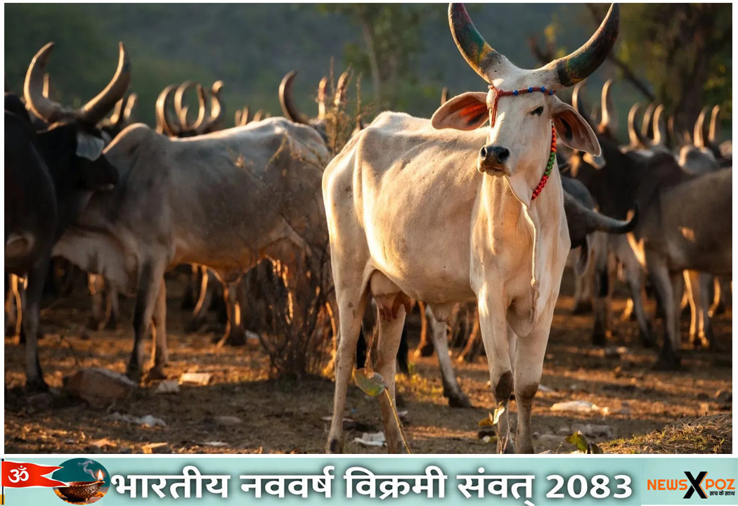 झारखंड : चतरा के गांव से रात में मवेशी चोरी, संगठित गिरोह के सक्रिय होने की आशंका; ग्रामीणों में आक्रोश