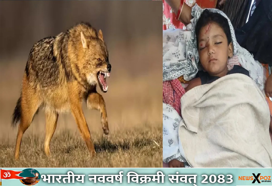 Pakur-Jackal-Attack-Child-Death