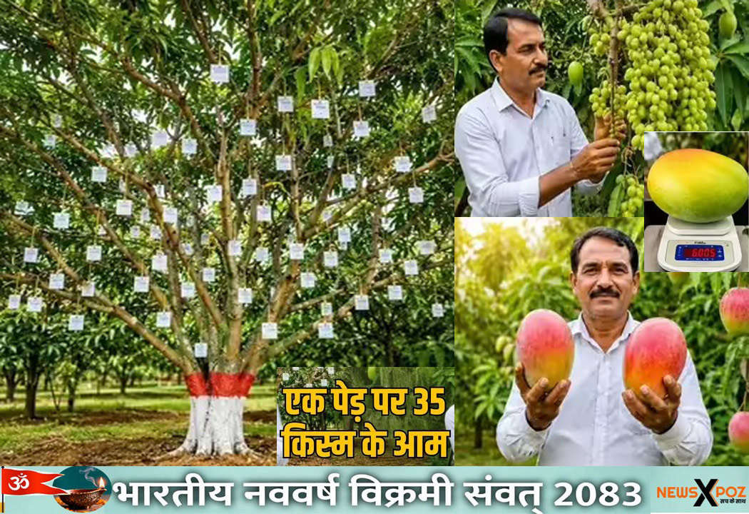 Mango-Man-MP-Vidisha
