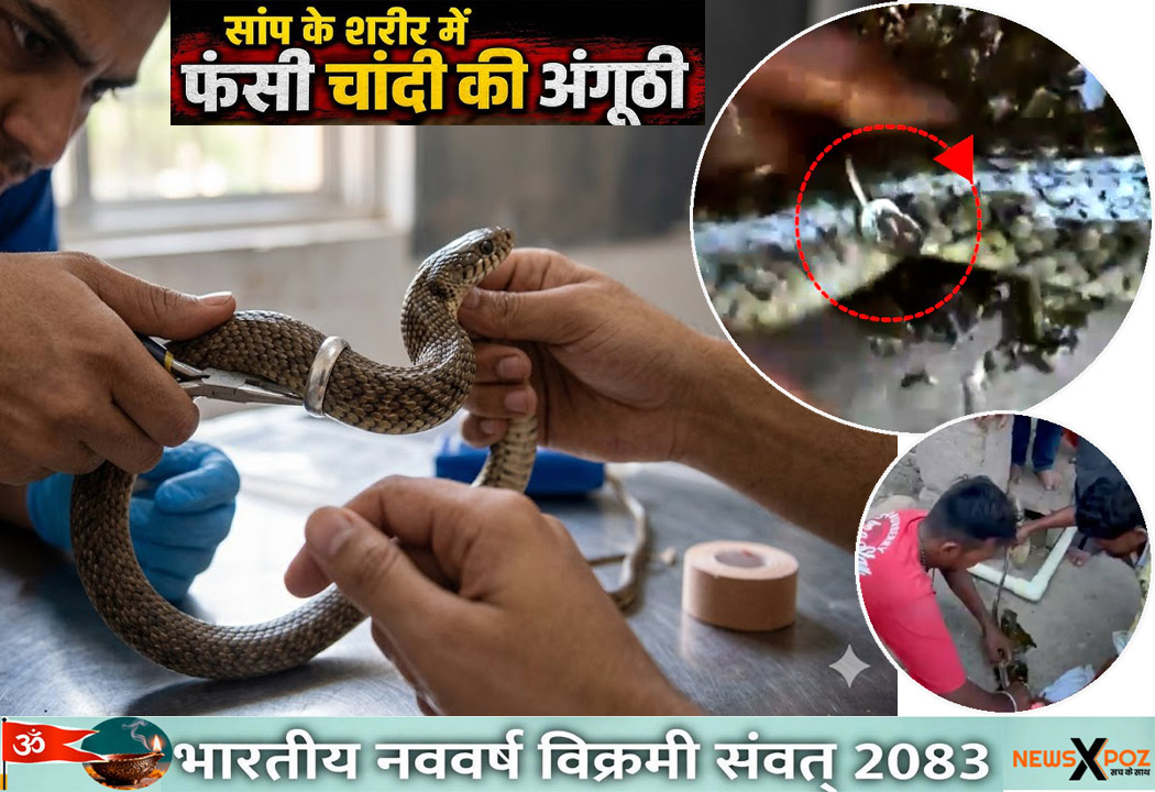 Rajasthan-Snake-Silver-Ring
