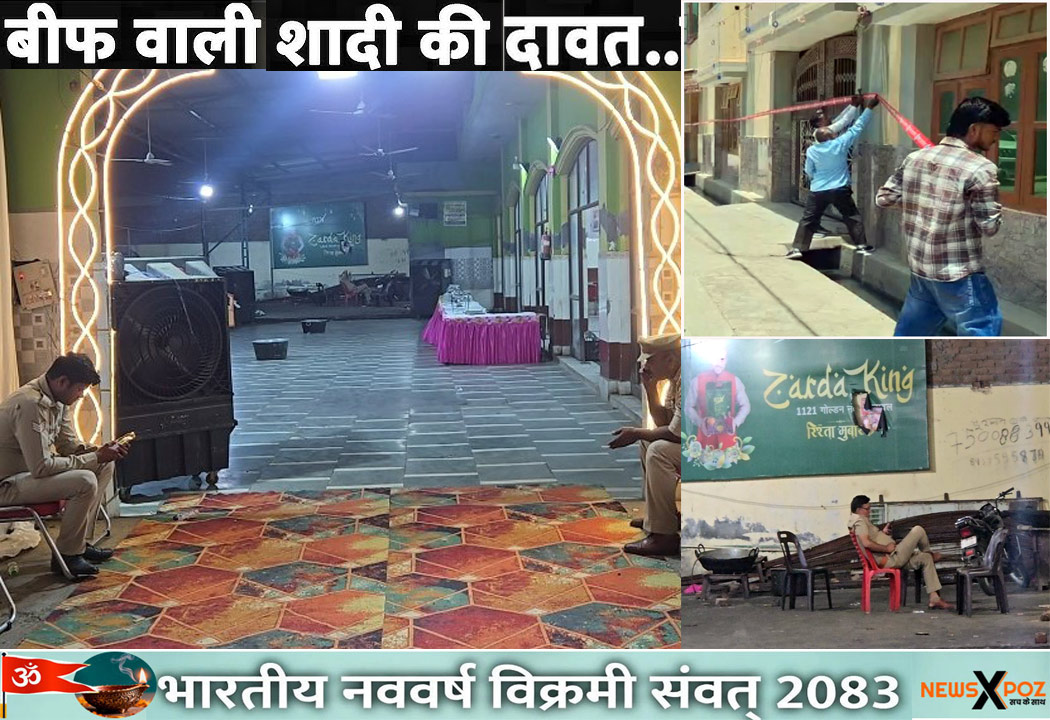 Shaamli-Kairana-Beef-Party-Action