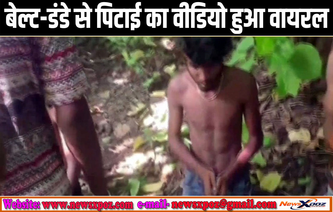 DHn-Pitai-Video